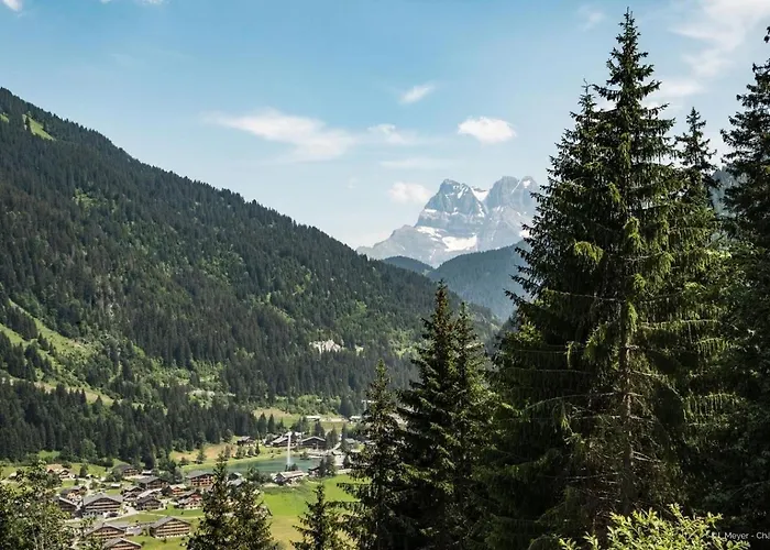 Moulin Ml184 Telecabine & Mountain 4 Pers